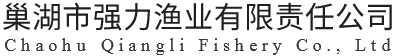 漁網(wǎng)批發(fā)_防鳥網(wǎng)批發(fā)-巢湖市強力漁業(yè)有限責(zé)任公司